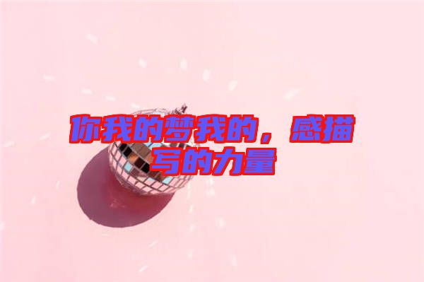 你我的夢我的，感描寫的力量