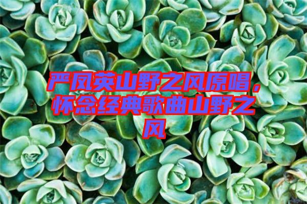 嚴鳳英山野之風原唱，懷念經典歌曲山野之風