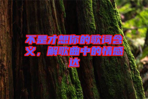 不是才想你的歌詞含義，解歌曲中的情感達