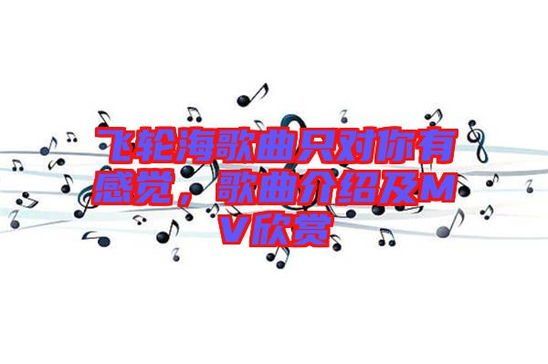 飛輪海歌曲只對你有感覺，歌曲介紹及MV欣賞