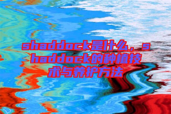 shaddock是什么，shaddock的種植技術與養護方法