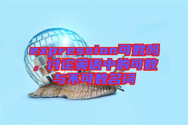 expression可數嗎，討論英語中的可數與不可數名詞