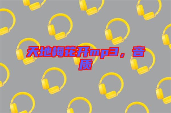 天地梅花開mp3，音質(zhì)