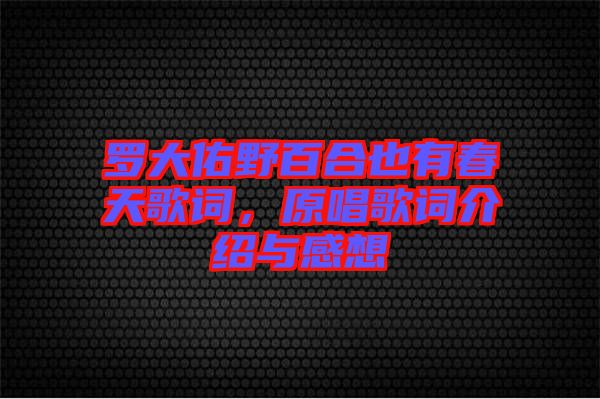 羅大佑野百合也有春天歌詞，原唱歌詞介紹與感想