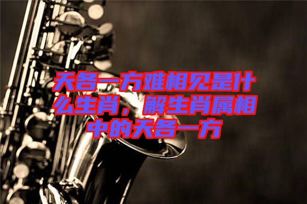天各一方難相見是什么生肖，解生肖屬相中的天各一方
