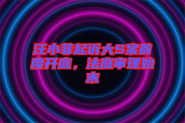 汪小菲起訴大S案首度開(kāi)庭，法庭審理始末