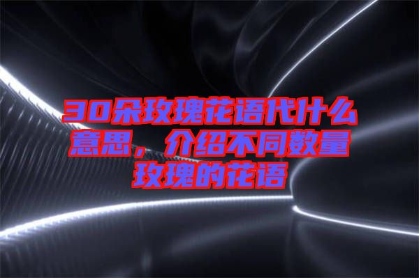 30朵玫瑰花語代什么意思，介紹不同數量玫瑰的花語