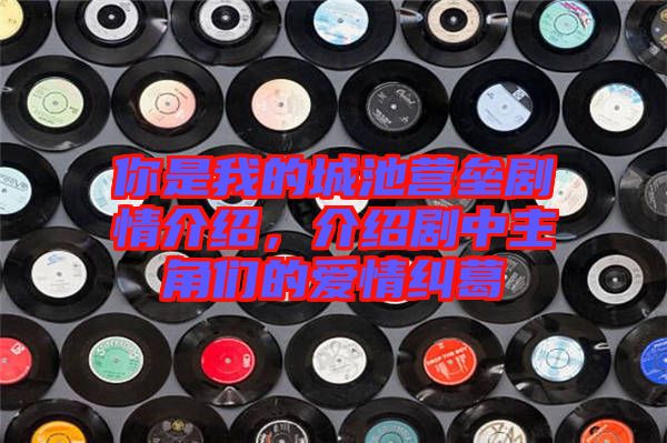 你是我的城池營壘劇情介紹，介紹劇中主角們的愛情糾葛
