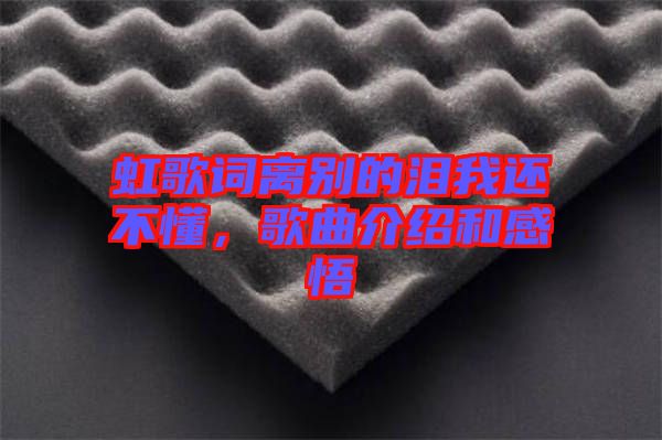 虹歌詞離別的淚我還不懂，歌曲介紹和感悟