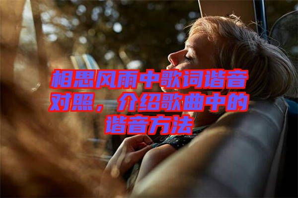 相思風雨中歌詞諧音對照，介紹歌曲中的諧音方法