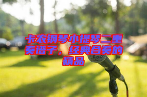 卡農鋼琴小提琴二重奏譜子，經典合奏的精品