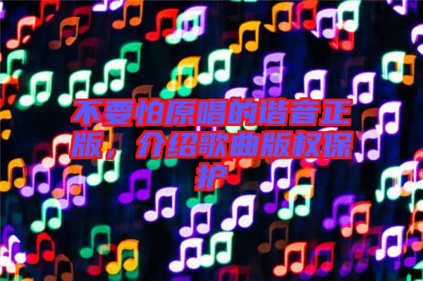 不要怕原唱的諧音正版，介紹歌曲版權保護