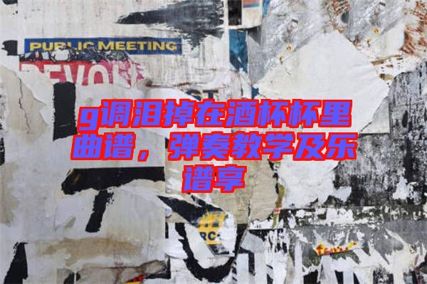 g調(diào)淚掉在酒杯杯里曲譜，彈奏教學(xué)及樂(lè)譜享