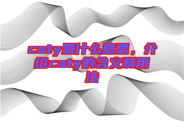 caty是什么意思，介紹caty的含義和用法