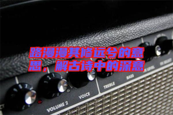 路漫漫其修遠兮的意思，解古詩中的深意