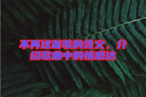 不再這首歌的含義，介紹歌曲中的情感達