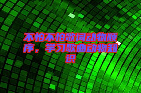 不怕不怕歌詞動物順序，學習歌曲動物知識