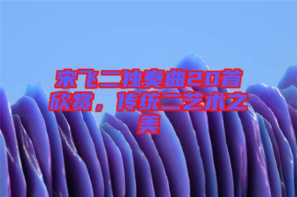 宋飛二獨奏曲20首欣賞，傳統(tǒng)二藝術之美