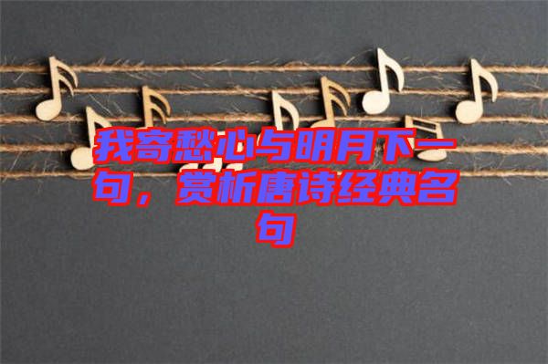 我寄愁心與明月下一句，賞析唐詩經典名句