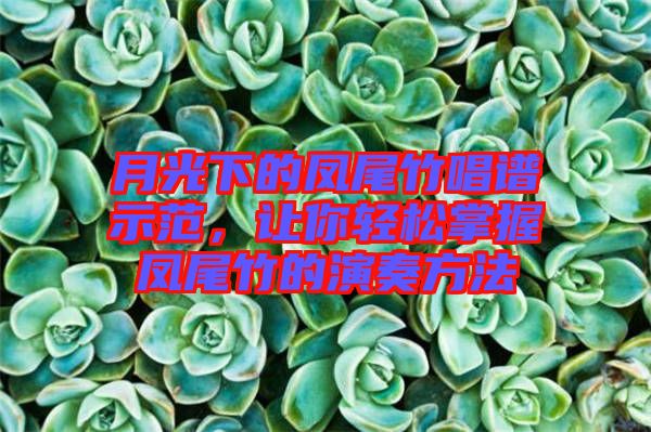 月光下的鳳尾竹唱譜示范，讓你輕松掌握鳳尾竹的演奏方法