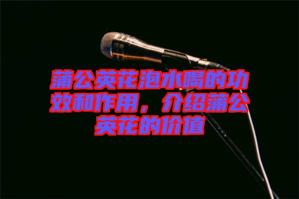 蒲公英花泡水喝的功效和作用，介紹蒲公英花的價值