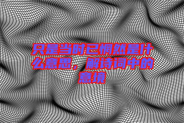 只是當時已惘然是什么意思，解詩詞中的意境