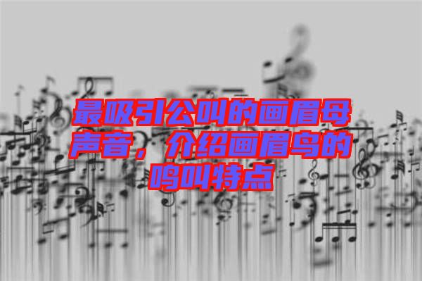 最吸引公叫的畫眉母聲音，介紹畫眉鳥的鳴叫特點