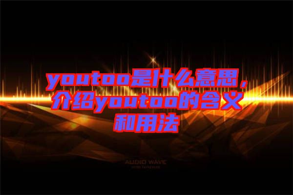 youtoo是什么意思，介紹youtoo的含義和用法