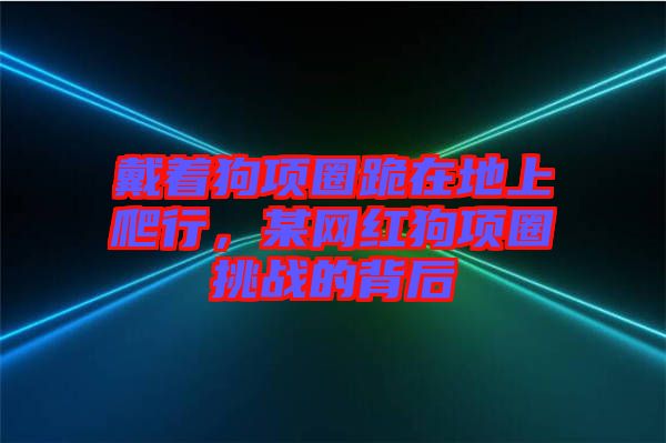 戴著狗項(xiàng)圈跪在地上爬行，某網(wǎng)紅狗項(xiàng)圈挑戰(zhàn)的背后