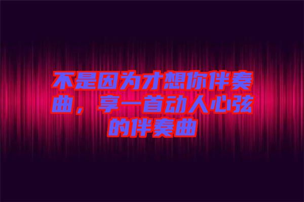 不是因為才想你伴奏曲，享一首動人心弦的伴奏曲
