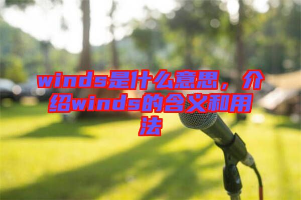 winds是什么意思，介紹winds的含義和用法