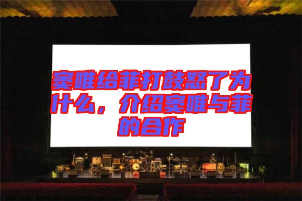 竇唯給菲打鼓怒了為什么，介紹竇唯與菲的合作