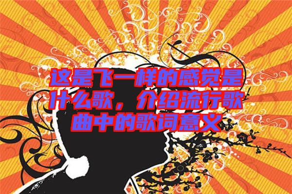 這是飛一樣的感覺是什么歌，介紹流行歌曲中的歌詞意義