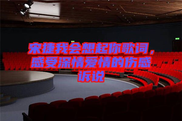 宋捷我會(huì)想起你歌詞，感受深情愛情的傷感訴說