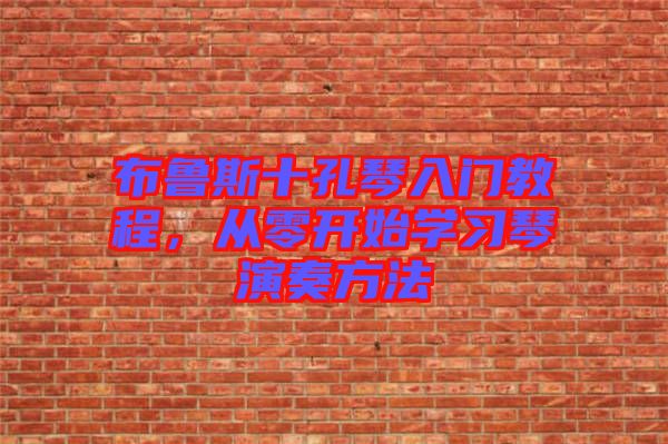 布魯斯十孔琴入門教程，從零開始學(xué)習(xí)琴演奏方法