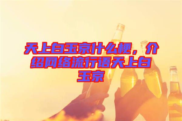 天上白玉京什么梗，介紹網(wǎng)絡(luò)流行語(yǔ)天上白玉京