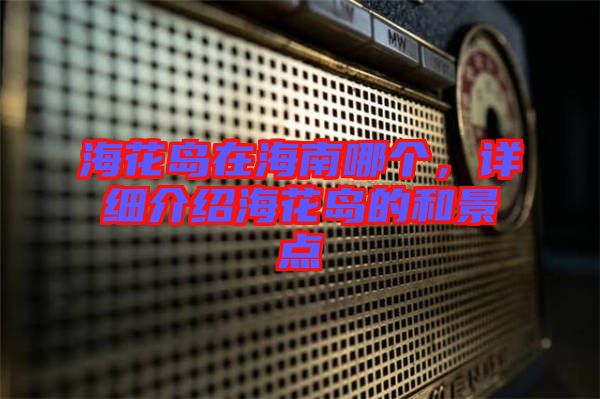 ?；◢u在海南哪個，詳細介紹海花島的和景點