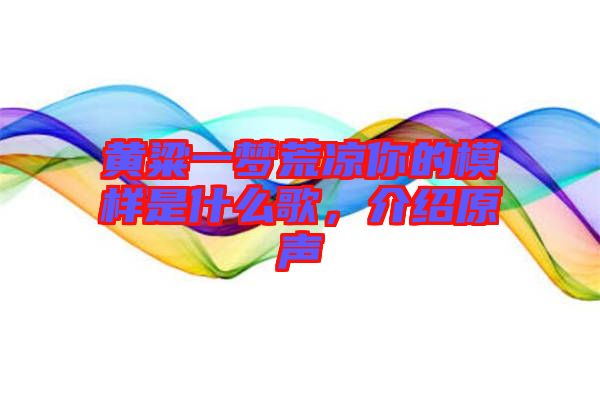 黃粱一夢荒涼你的模樣是什么歌，介紹原聲