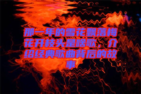 那一年的雪花飄落梅花開枝頭是啥歌，介紹經典歌曲背后的故事