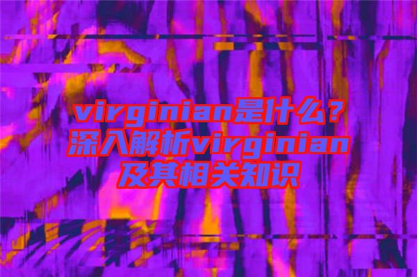 virginian是什么？深入解析virginian及其相關知識