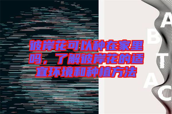 彼岸花可以種在家里嗎，了解彼岸花的適宜環境和種植方法