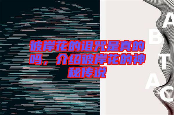 彼岸花的詛咒是真的嗎，介紹彼岸花的神秘傳說