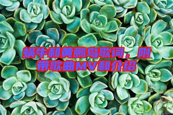 蝸牛和黃鸝鳥歌詞，附帶歌曲MV和介紹