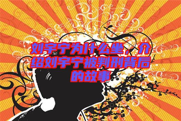 劉宇寧為什么坐，介紹劉宇寧被判刑背后的故事