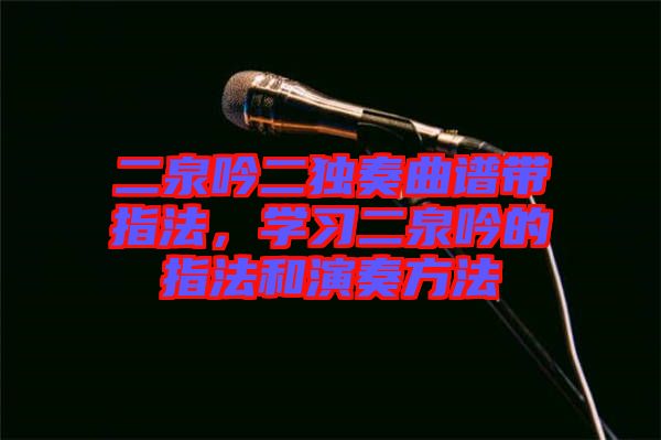 二泉吟二獨奏曲譜帶指法，學習二泉吟的指法和演奏方法