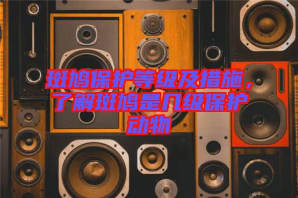 斑鳩保護等級及措施，了解斑鳩是幾級保護動物