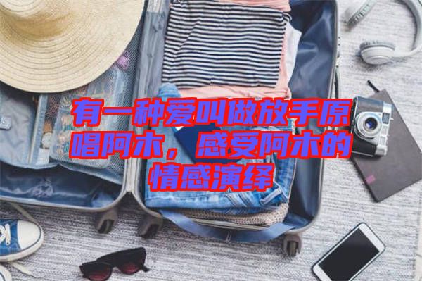 有一種愛叫做放手原唱阿木，感受阿木的情感演繹