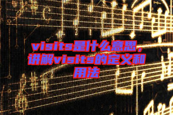 visits是什么意思，講解visits的定義和用法