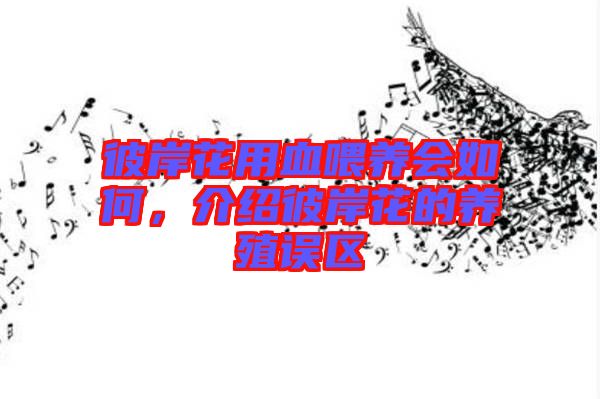 彼岸花用血喂養(yǎng)會如何，介紹彼岸花的養(yǎng)殖誤區(qū)