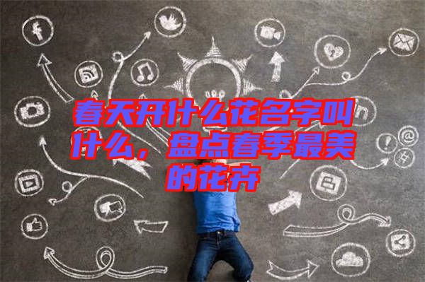 春天開什么花名字叫什么，盤點春季最美的花卉